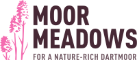 Moor Meadows logo