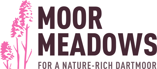 What Is A Meadow Moor Meadows