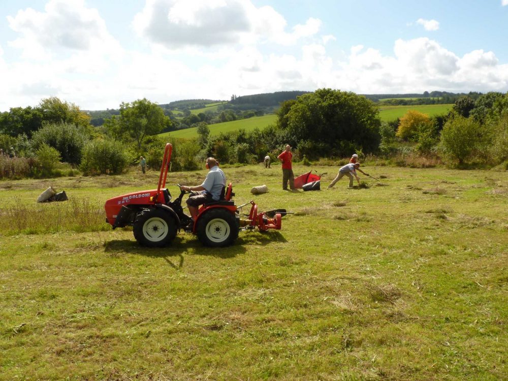 Haymaking at Bridford Trust haymeadow