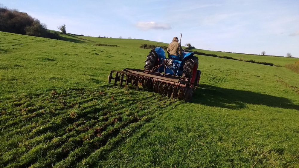 Preparing existing flower-rich pasture