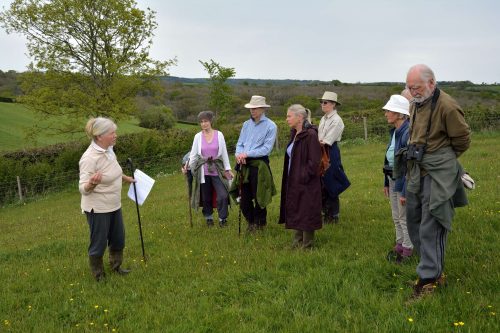 Orchid walk at Deer Park Farm